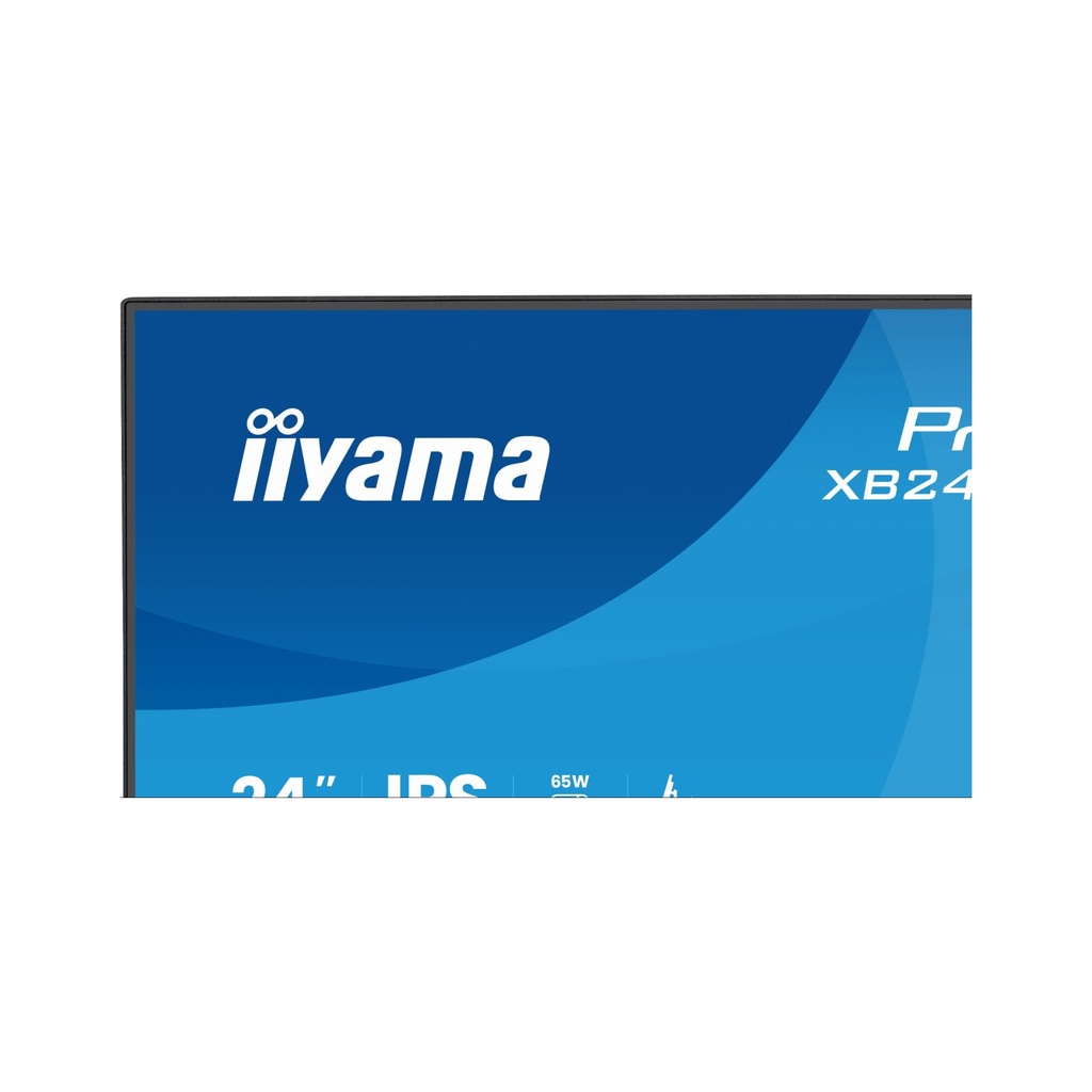 iiyama-cran-pc-24-4